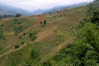 Mu Cang Chai Vietnam 2019