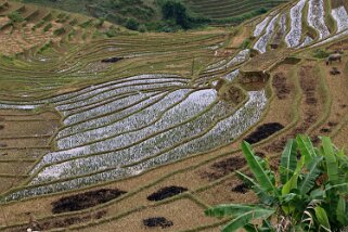 Mu Cang Chai Vietnam 2019