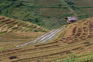 Mu Cang Chai Vietnam 2019