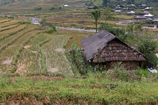 Lim Mông Vietnam 2019