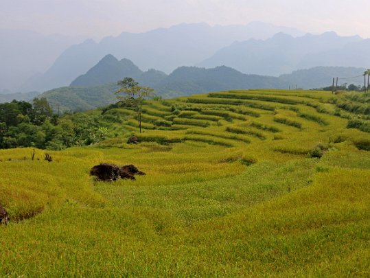 Kho Muong Vietnam