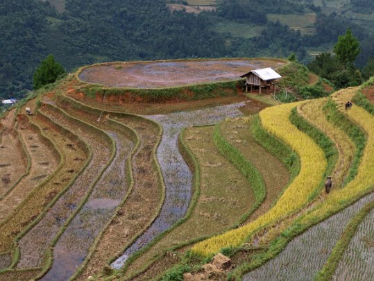 Mu Cang Chai Vietnam