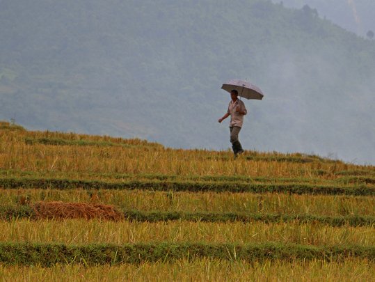 Tu Lê Vietnam
