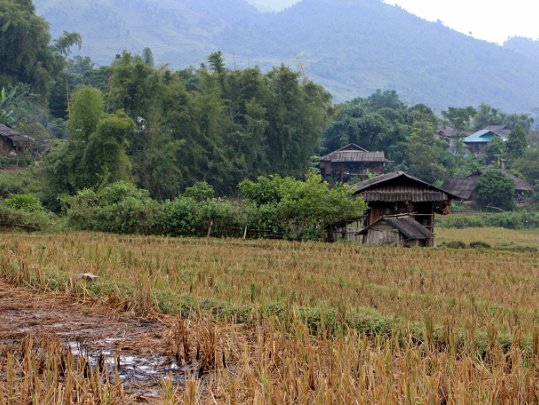 Tu Lê Vietnam