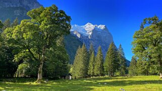 Reichenbachtal - Schwarzwaldalp Haslital 2020