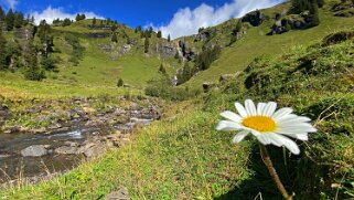 Reichenbachtal Haslital 2020