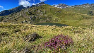 Hornseewli 2146 m Haslital 2020