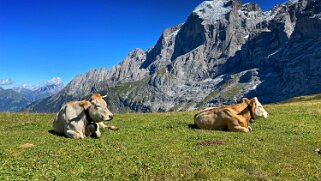 Grosse Scheidegg Haslital 2020