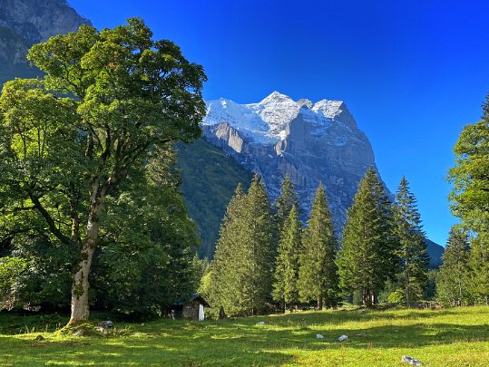 Schwarzwaldalp - Hornseewli Berne - Suisse