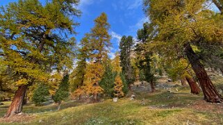 Val Bever Haute-Engadine 2020