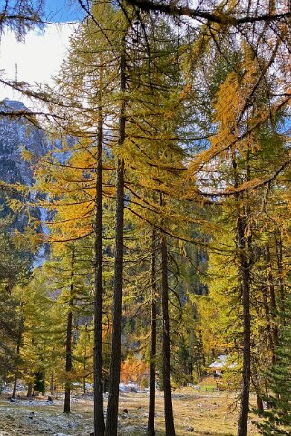 Val Bever Haute-Engadine 2020