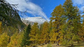 Val Bever Haute-Engadine 2020