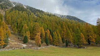 Val Bever Haute-Engadine 2020