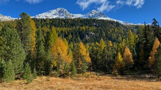 Lac Nair Haute-Engadine 2020