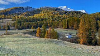 Tschavaretschas Haute-Engadine 2020