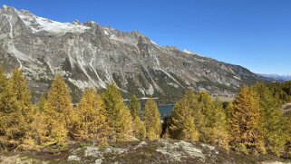 Lac de Sils Haute-Engadine 2020