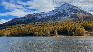 Lac de Sils Haute-Engadine 2020