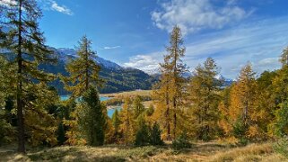 Lac de Silvaplana Haute-Engadine 2020