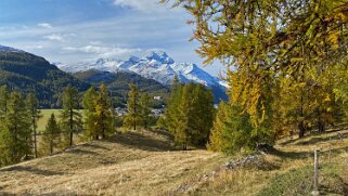 Via Engiadina Haute-Engadine 2020