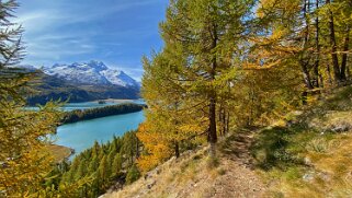 Lac de Sils Haute-Engadine 2020