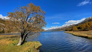 Lac de Sils Haute-Engadine 2020