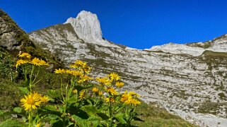 Altmann 2435 m - Alpstein Appenzell 2021