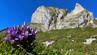 Alpstein Appenzell 2021