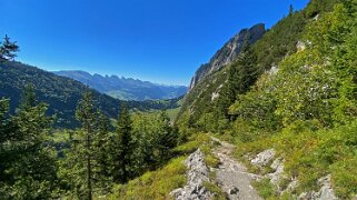 Tesel - Alpstein Appenzell 2021