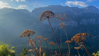 Ebenalp - Alpstein Appenzell 2021