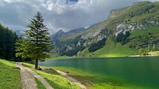 Seealpsee 1142 m - Alpstein Appenzell 2021