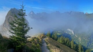 Alpstein Appenzell 2021