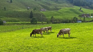 Brülisau - Alpstein Appenzell 2021