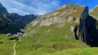 Meglisalp 1516 m - Alpstein Appenzell 2021