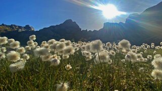 Seenwanderung - Pizol Appenzell 2021