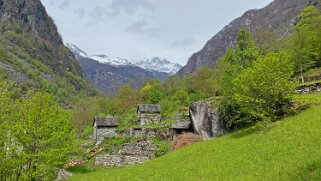 Mondada - Val Bavone Tessin 2021