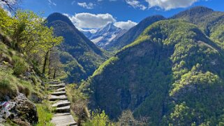 Brontallo - Val Lavizzara Tessin 2021