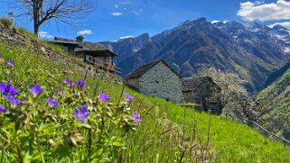 Verda - Val Lavizzara Tessin 2021