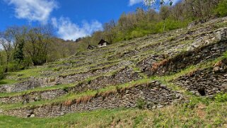 Val Lavizzara Tessin 2021