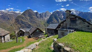 Monti di Rima - Val Lavizzara Tessin 2021