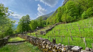 Moghegno - Valle Maggia Tessin 2021