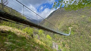 Ponte Tibetano Carasc - Valle di Sementina Tessin 2021