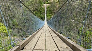 Ponte Tibetano Carasc - Valle di Sementina Tessin 2021