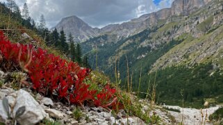 Vallunga - Parco Naturale Puez Odle Dolomites 2022