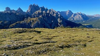 Parco naturale Tre Cime - Monte Campedelle 2362 m Dolomites 2022