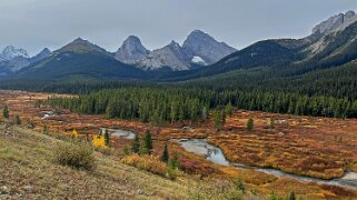 Smuts Creek - Parc provincial de Spray Valley null