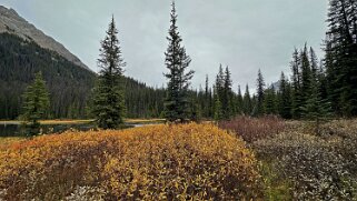 Burstall Lakes - Parc provincial de Spray Valley Canada 2023