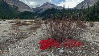 Parc National de Banff Canada 2023