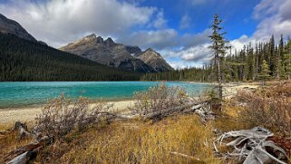 Peyto Lake - Parc National de Banff Canada 2023