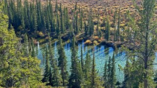 Saskatchwan River - Parc National de Banff Canada 2023