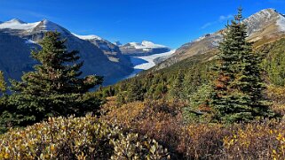 Saskatchewan Glacier - Parc National de Banff Canada 2023